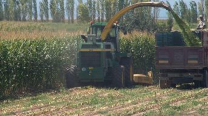 Develi Il&ccedil;esinde Mısır Ekimi, Pancarın Iki Katına &Ccedil;ıktı