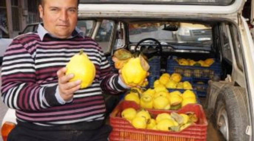 Sarıg&ouml;l&rsquo;de Limon Ayva Bereketi