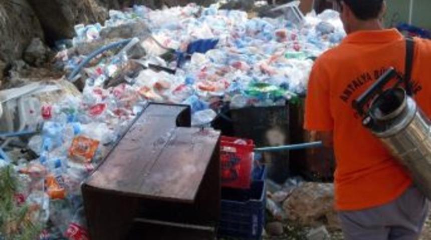 Karasinekle M&uuml;cadele S&uuml;r&uuml;yor