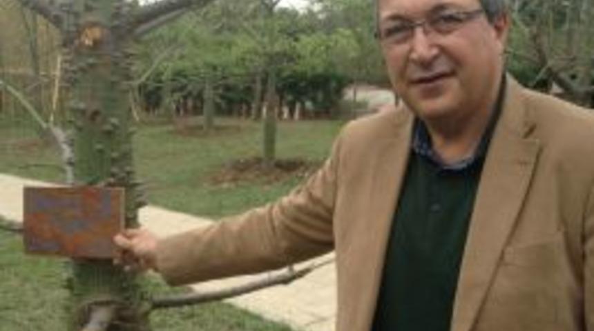 &Uuml;nver, &Ccedil;in'de Nevşehir Ağacı Dikti