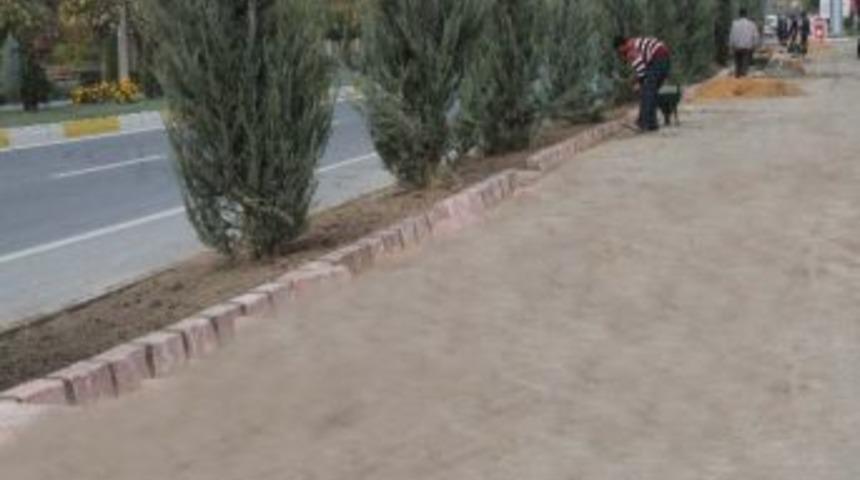 Elazığ'da Bitki Dikim &Ccedil;alışmaları