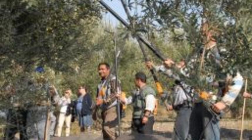 Zeytin &Uuml;reticisine 19 Adet Zeytin Silkme Makinesi