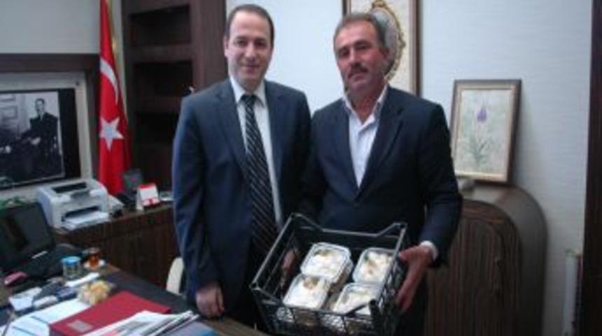 Kaymakam Demiral: Altın &Ccedil;ilek Artık Suşehri&rsquo;nde De Yetiştirilebilecek