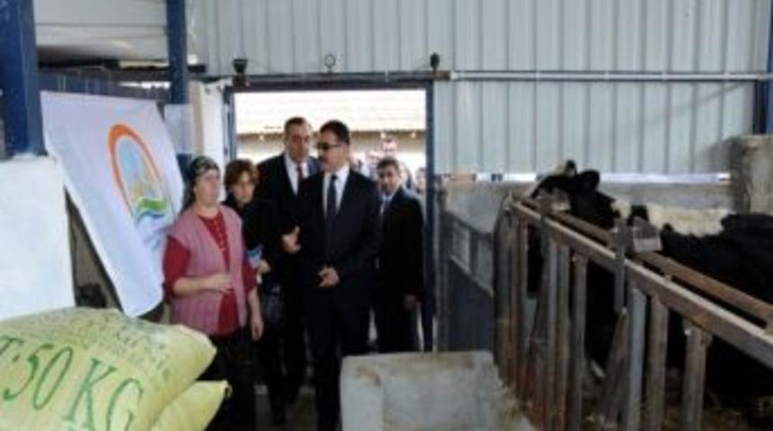 Şampiyon &Ccedil;ift&ccedil;i Plaketini Damda Aldı