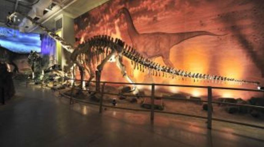 Jurassic Land, &Ouml;ğretmenler G&uuml;n&uuml;'nde &Ouml;ğretmenlere &Uuml;cretsiz