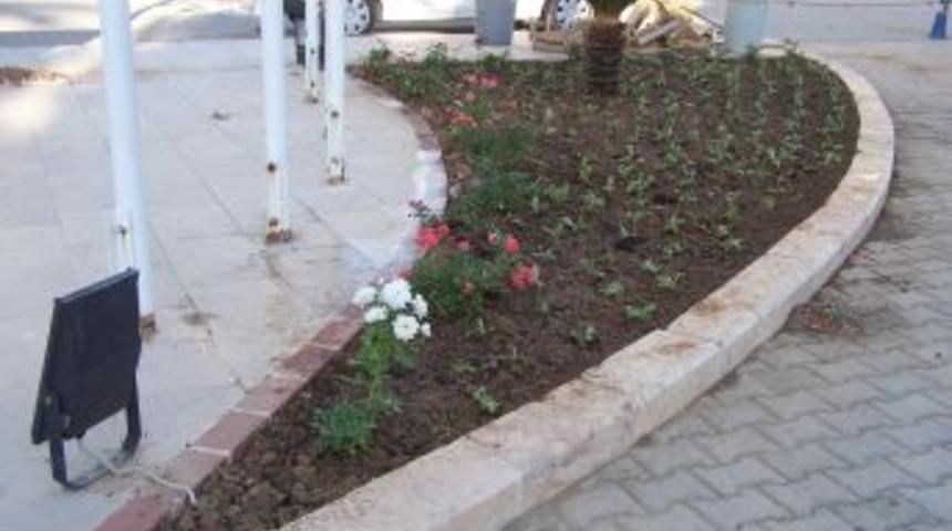 Taşucu Beldesi D&ouml;rt Mevsim &Ccedil;i&ccedil;ek A&ccedil;acak