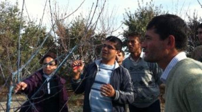 M&uuml;hendislerden Tarım İş&ccedil;ilerine Budama Eğitimi