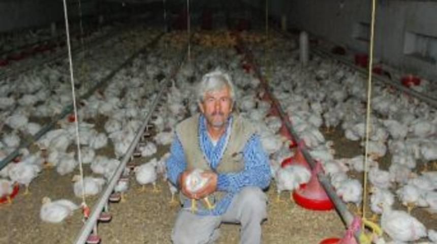 Tavuk &Uuml;reticisi Zamlardan K&ouml;t&uuml; Etkilendi