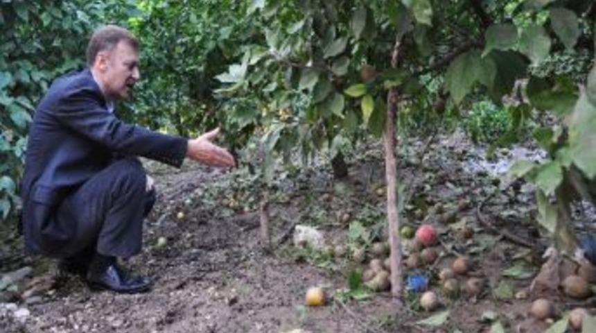 Chp&rsquo;li Atıcı Sel Felaketinde Zarar G&ouml;ren Tarım Arazilerini İnceledi