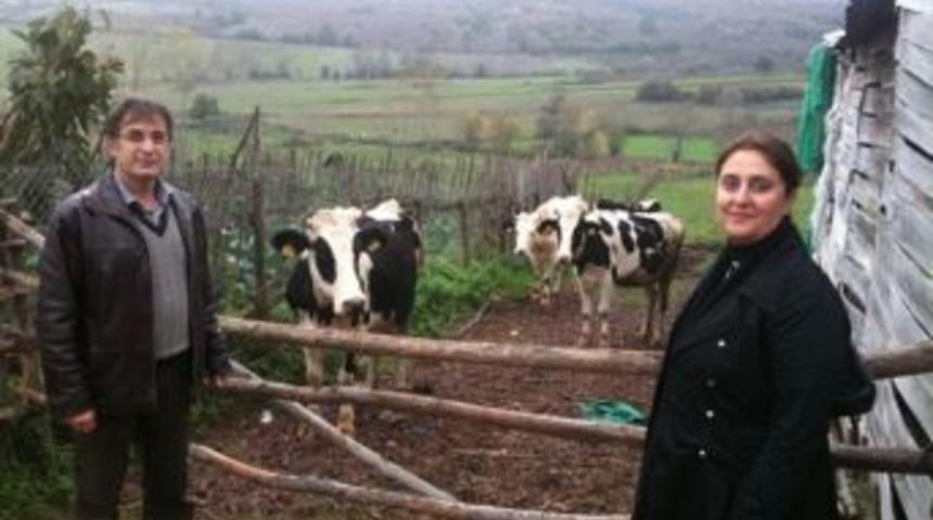 Ork&ouml;y Faaliyetlerinde Sona Doğru Yaklaşılıyor