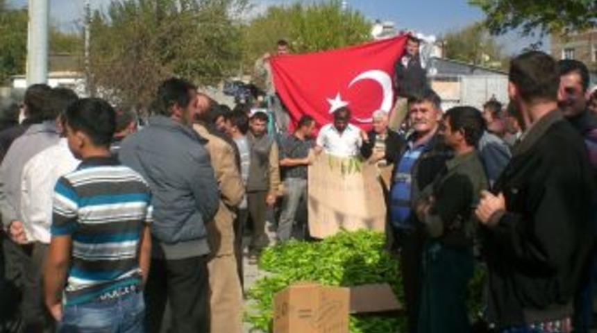 Kaş'ta &Ccedil;avdırlı &Ccedil;ift&ccedil;i Biberin 20 Kuruşluk Fiyatına Tepki G&ouml;sterdi