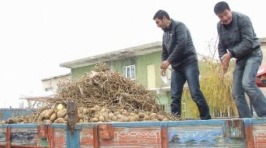 Niğdeli &Uuml;retici, Patateslerini Kasaba Meydanında Yaktı