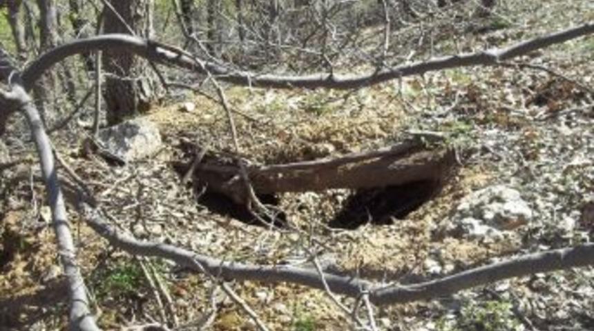 Bing&ouml;l'de Ter&ouml;r &Ouml;rg&uuml;t&uuml;ne Ait 3 Depo Imha Edildi