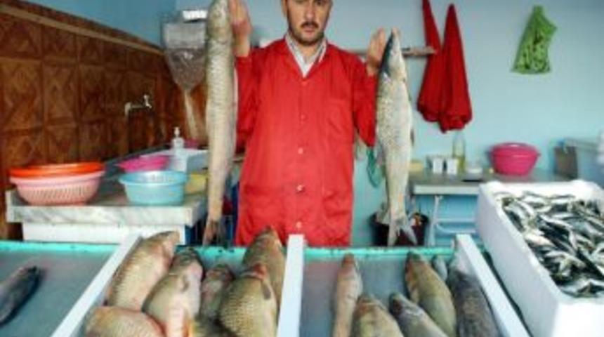 Kahta'da Balık K&uuml;lt&uuml;r&uuml; Gelişiyor