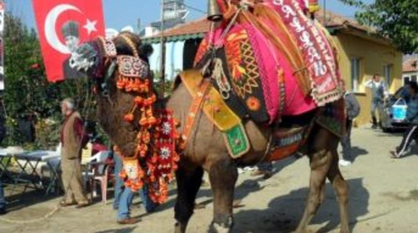 Pehlivan Develerden Sezon &Ouml;ncesi Son Hazırlık