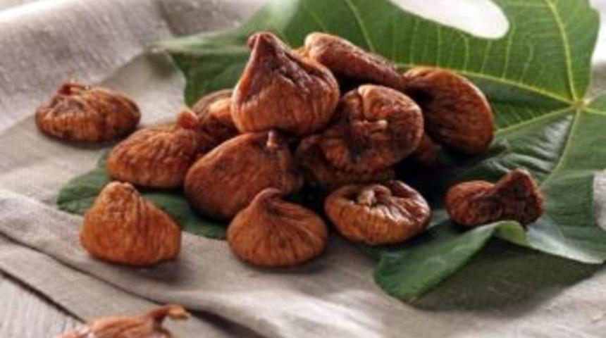 Aydın İncirinin Kalitesi İ&ccedil;in M&uuml;cadele Ediyor