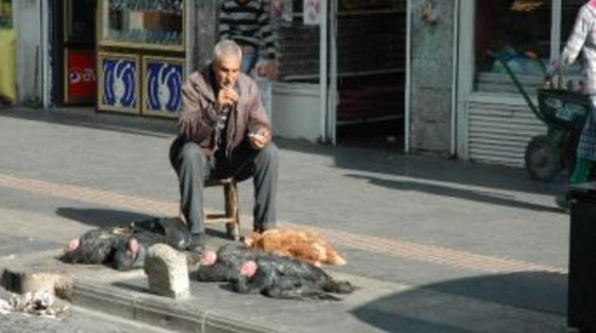 Canlı Hindi Satıcıları İş Yapamamaktan Şikayet&ccedil;i