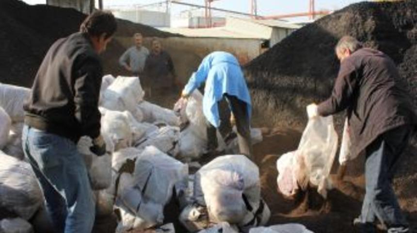 Yurda Ka&ccedil;ak Sokulduğu Belirlenen 8,5 Ton Ka&ccedil;ak &Ccedil;ay Imha Edildi