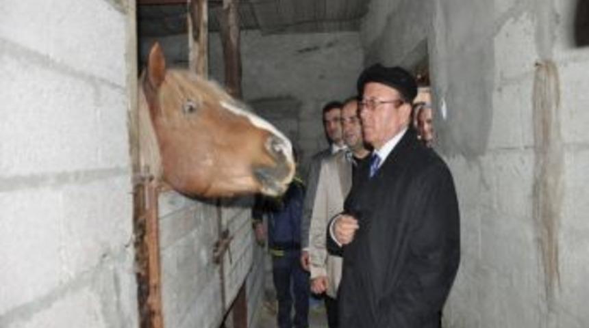 Atabey&rsquo;de Binicilik Tesisi A&ccedil;ıldı