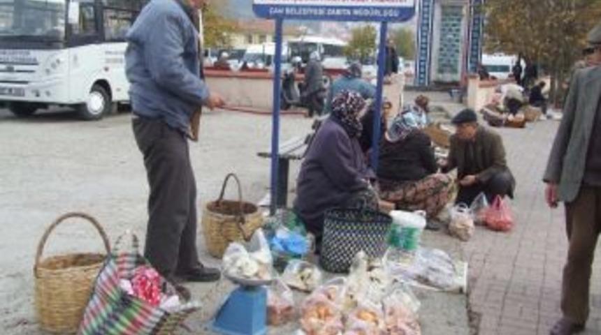 Ge&ccedil;imlerini Mantardan Kazanıyorlar