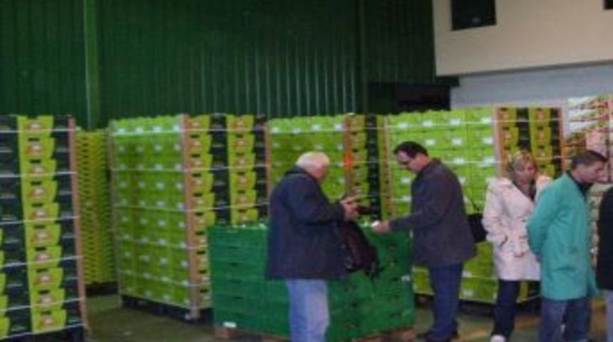 Bursa&rsquo;da Kivi &Uuml;retimi Yaygınlaşıyor