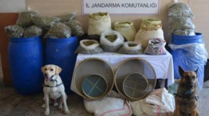 Bing&ouml;l'de 193 Kilogram Esrar Ele Ge&ccedil;irildi