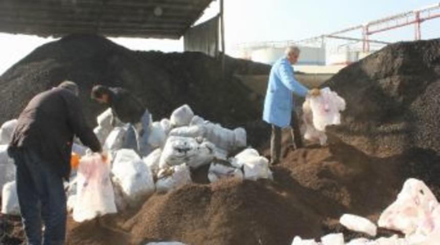 Erzincan&rsquo;da 8,5 Ton Ka&ccedil;ak &Ccedil;ay İmha Edildi