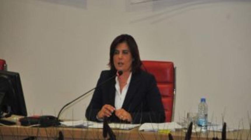 Aydın Belediyesinin 2013 Yılı B&uuml;t&ccedil;esi 177 Milyon Tl