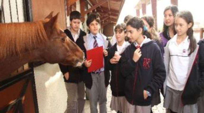 &Ccedil;ocuklar Tay Park&rsquo;ı Sevdi