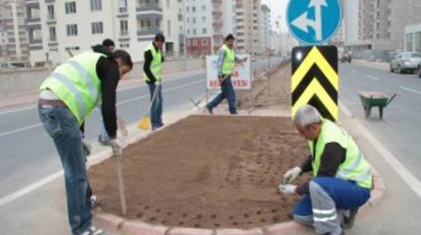 Talas Rengarenk Olacak