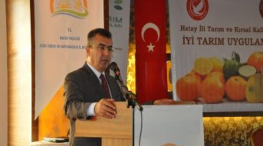 D&ouml;rtyol'da &ldquo;iyi Tarım Uygulamaları Ve Narenciye&rdquo; Toplantısı