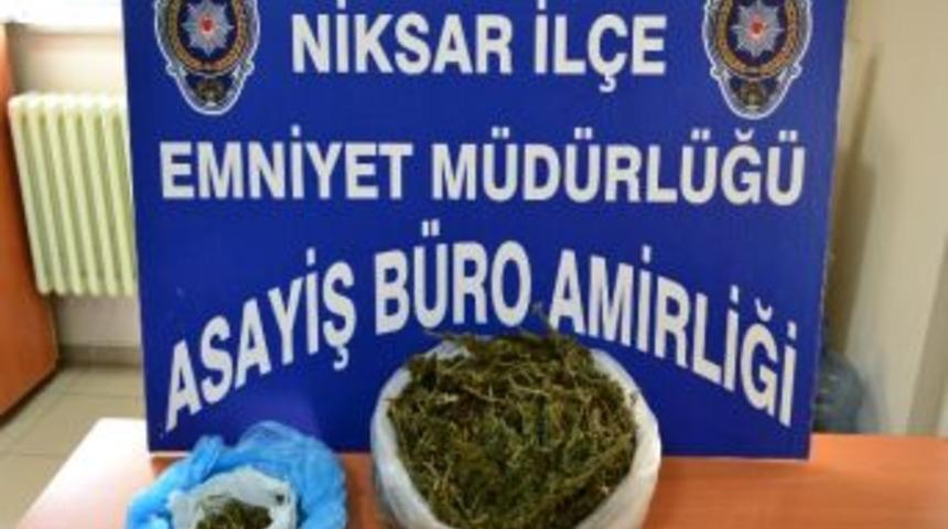 Tokat’ta Esrar Operasyonuna 7 Tutuklama