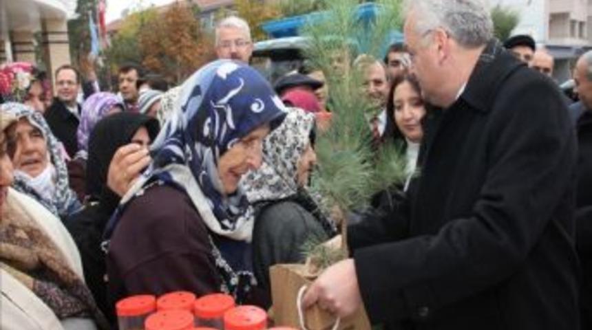 &Ccedil;ankırıda 100 Bin Fidan Dağıtıldı