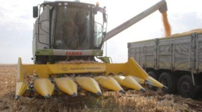 Kızıltepeli &Ccedil;ift&ccedil;iler Pamuk Yerine Mısır Ekimine Y&ouml;neldi