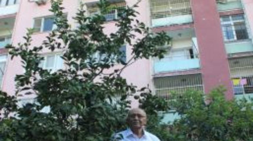 Orman Sevgisiyle Apartman Çevresini De Mezar Yerini De Ağaçlandırdı