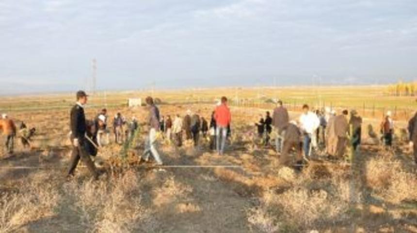 Mş&uuml; Kampus Alanı Yeşillendiriliyor