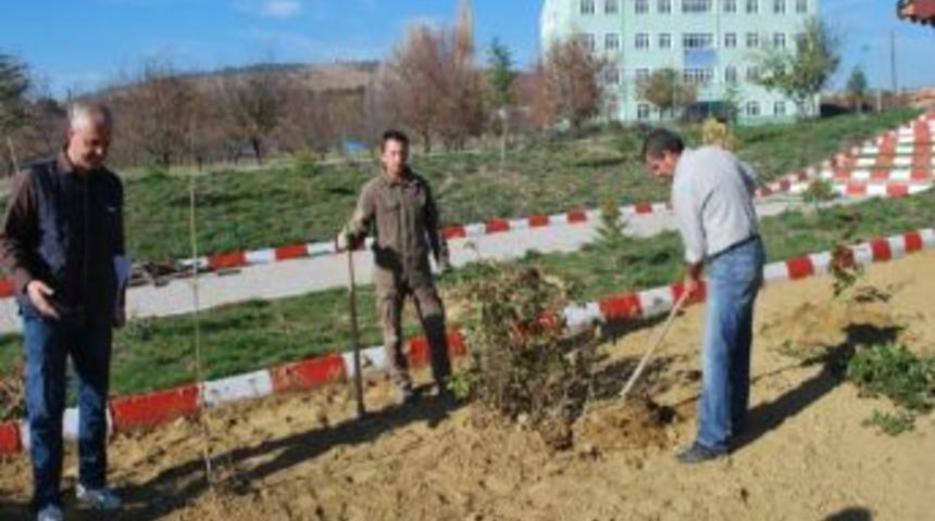 Meslek Y&uuml;ksekokulu Kampus&uuml; G&uuml;zelleşiyor