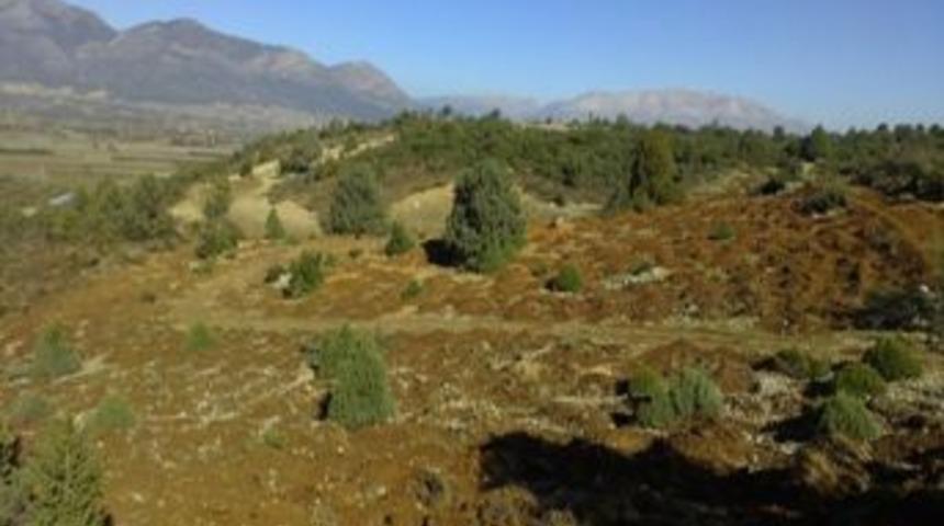 Toroslar, Dikime Hazırlanıyor