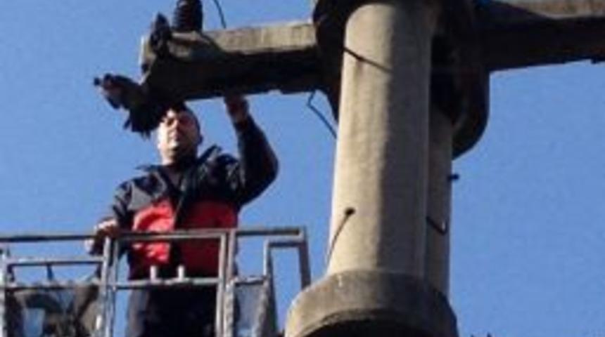 Sakar G&uuml;vercini İtfaiye Kurtardı