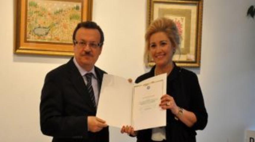 &Uuml;niversitede Kat'ı Sergisi