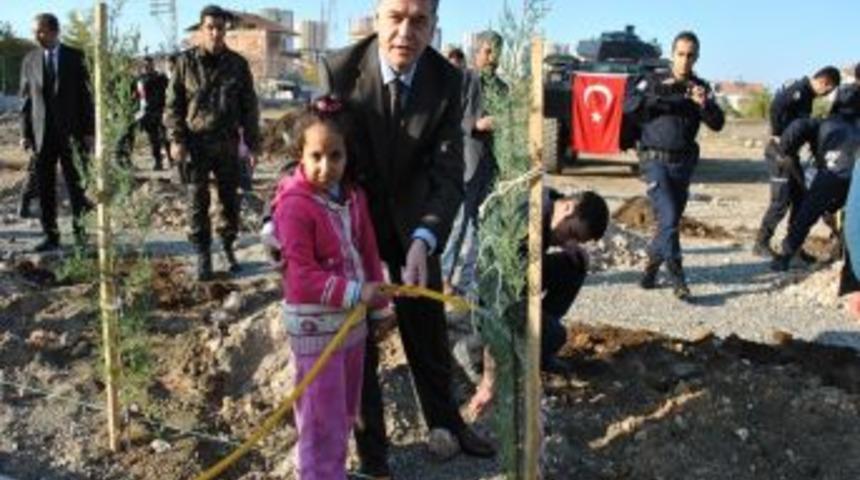 Emniyet Bah&ccedil;esine &Ccedil;am Fidanı Dikildi