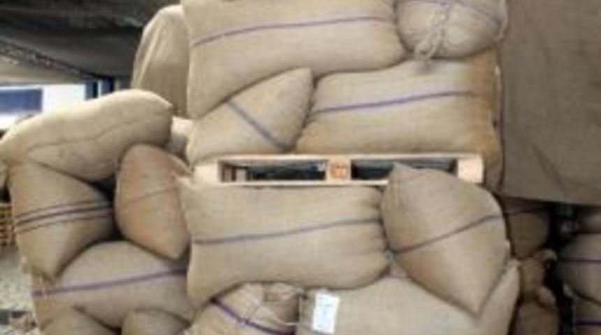 Fındık Fiyatı 4.30 Lira