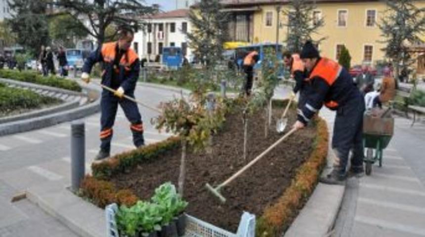 Park Ve Bah&ccedil;eler M&uuml;d&uuml;rl&uuml;ğ&uuml;&rsquo;nden Kışlık &Ccedil;i&ccedil;ek Dikimi