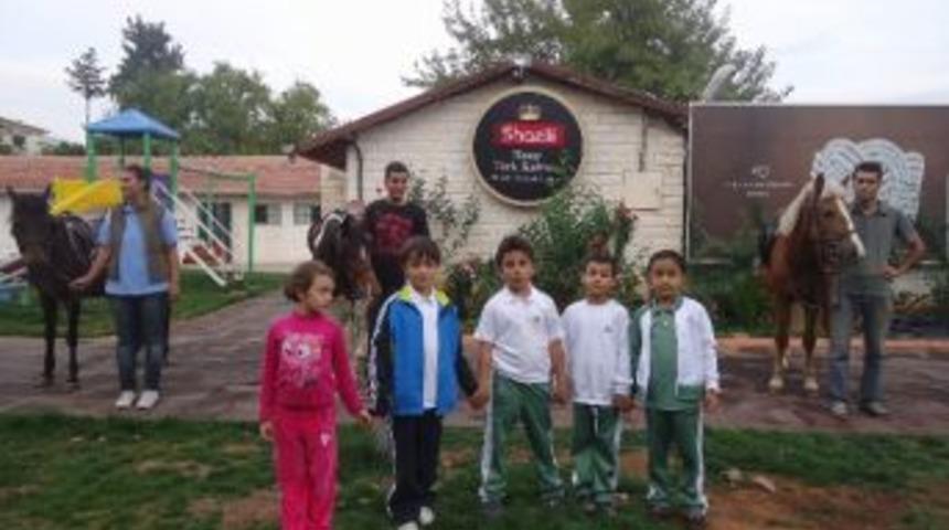 İlkokul &Ouml;ğrencilerine 'binicilik' Eğitimi Veriliyor