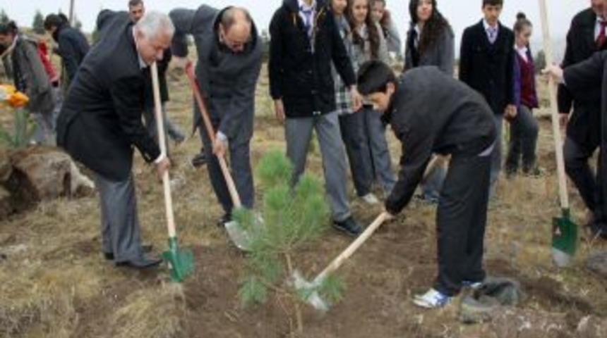 &Ccedil;ubuk'ta Bir Milyon Fidan Toprakla Buluşacak