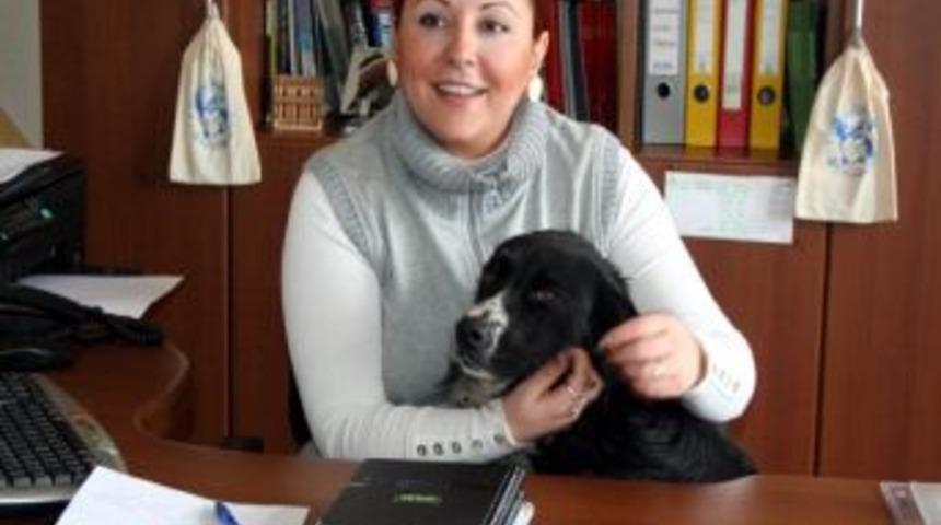 Hayvan Hakları Derneğinden Balık&ccedil;ılara İlgin&ccedil; Uyarı