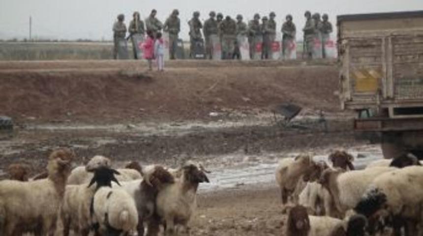 Suriye Sınırında Kaçaklık Operasyonu: 28 Gözaltı