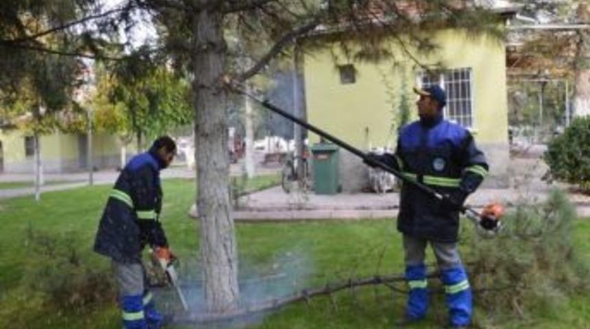 Kocasinan Ağa&ccedil;lara Kışlık Bakım Yaptı