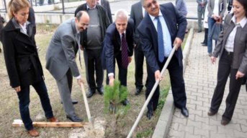 &Ouml;ğretmenler G&uuml;n&uuml;'n&uuml; Fidan Dikerek Kutladılar