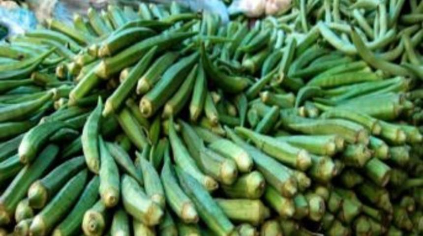 Enez&rsquo;in Kirazı İle Siğilli&rsquo;nin Bamyası Tescilenecek